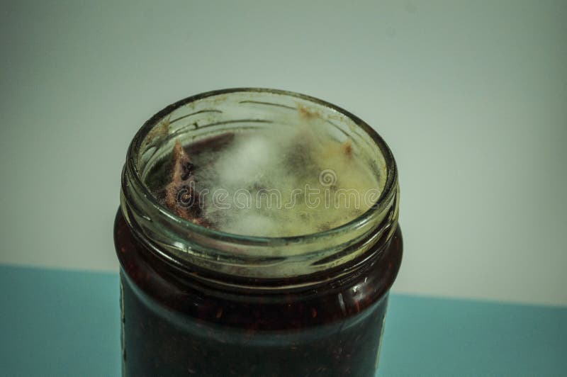Jam with mold stock image. Image of canned, apricot, closed 74993055
