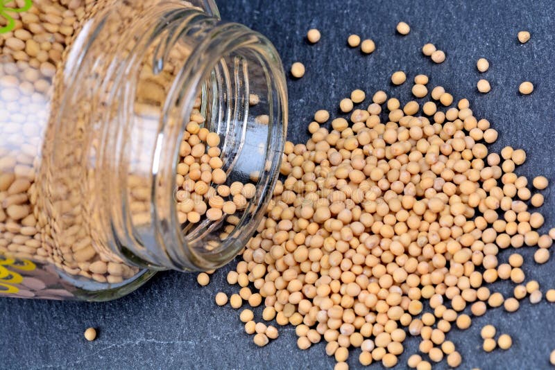 Jar with mustard seeds stock photo. Image of ingredient 83469512