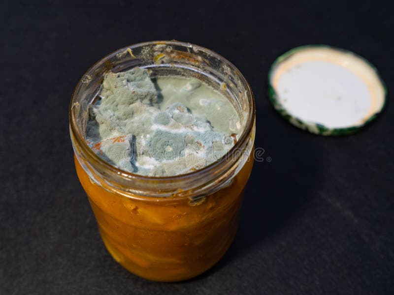 A Jar with Spoiled Expired Jam, Covered with Mold. Storage of Jam and
