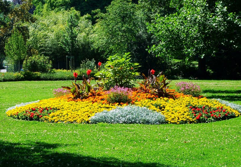 Jardín, Flor, Parque, Primavera, Flores, Naturaleza, Paisaje, Verde, Verano, árbol, Hierba, Campo, Amarillo, Hermoso, Tulipán, Pl Imagen de archivo - Imagen de verano, amarillo: 119213109 Jardín, Flor, Parque, Primavera, Flores, Naturaleza, Paisaje, Verde, Verano, árbol, Hierba, Campo, Amarillo, Hermoso, Tulipán, Pl Imagen de archivo - Imagen de verano, amarillo: 119213109