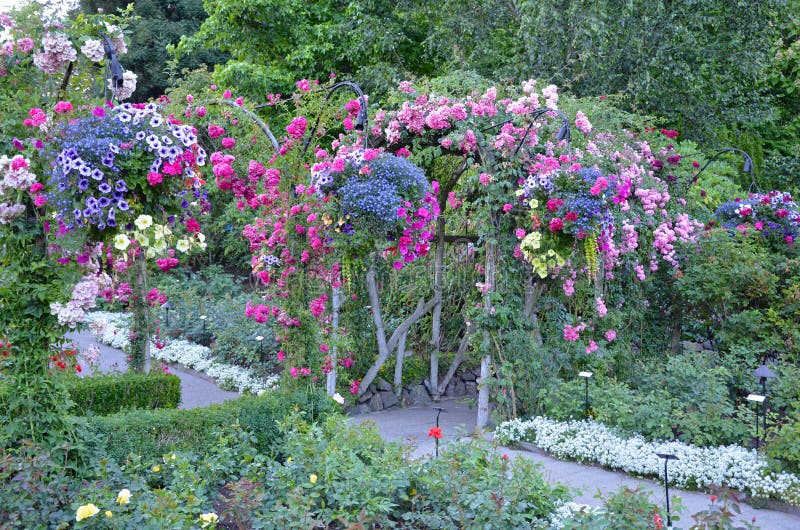 Colorful summer garden pathway with rose covered arch. Colorful summer garden pathway with rose covered arch