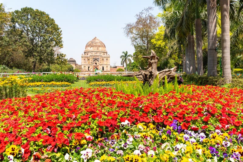Jardim de Beautuful Lodhi com flores, estufa, t?mulos e outras vistas, Nova Deli, ?ndia fotografia de stock Jardim de Beautuful Lodhi com flores, estufa, t?mulos e outras vistas, Nova Deli, ?ndia fotografia de stock