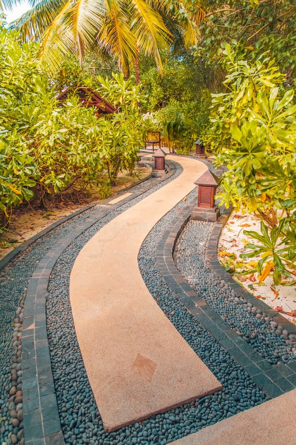 Jardim do zen e palmeiras e caminho japoneses das pedras fotografia de stock Jardim do zen e palmeiras e caminho japoneses das pedras fotografia de stock