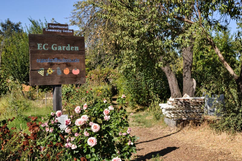 Jardim comunitário experimental fotografia de stock royalty free
