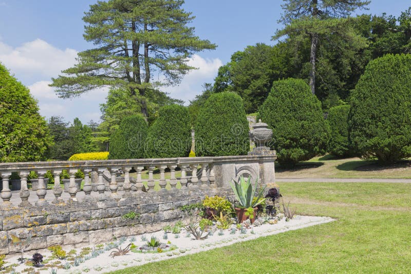 Peões Brancos Comuns Crescendo Em Um Jardim Inglês Imagem de Stock