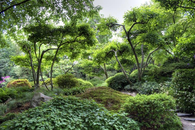 Jardim japonês calmo fotos de stock Jardim japonês calmo fotos de stock