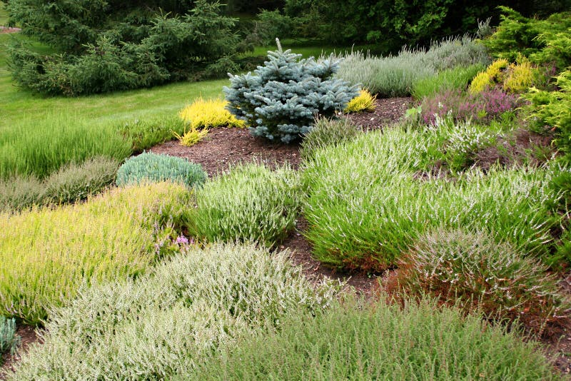 Jardin alpestre photographie stock Jardin alpestre photographie stock