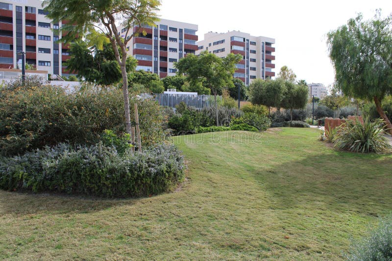 Jardin avec les usines et la pelouse d'arbres photographie stock Jardin avec les usines et la pelouse d'arbres photographie stock