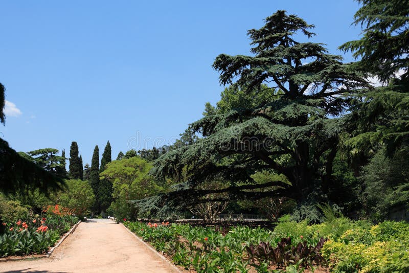 Jardins Botaniques Orto Botanico, Palerme, Sicile De Palerme Image