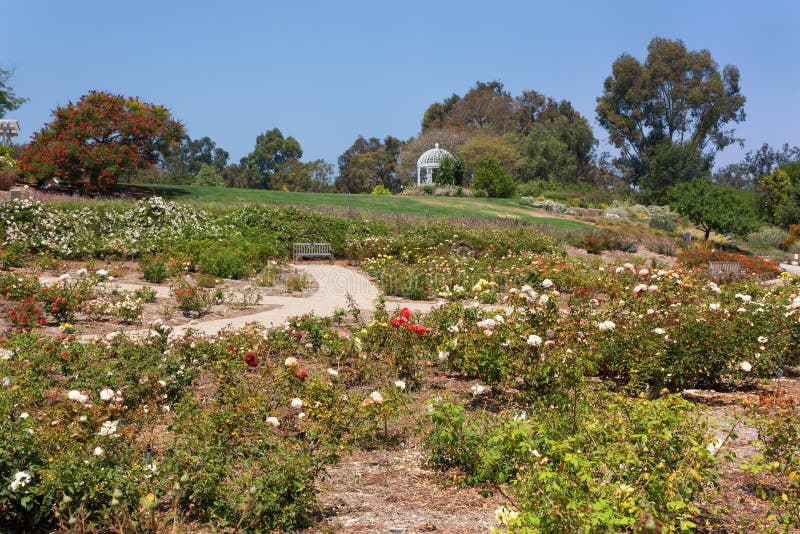 Jardin botanique de côte sud images libres de droits