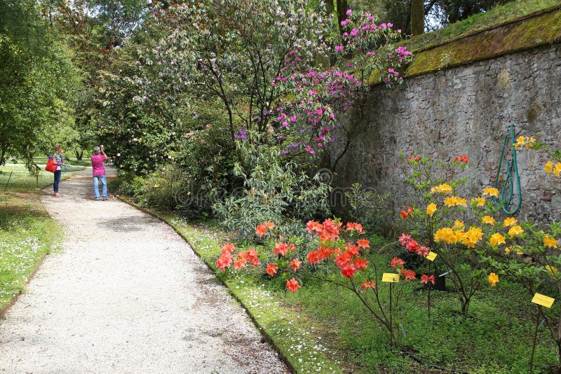 Jardin botanique de Lucques photo libre de droits Jardin botanique de Lucques photo libre de droits