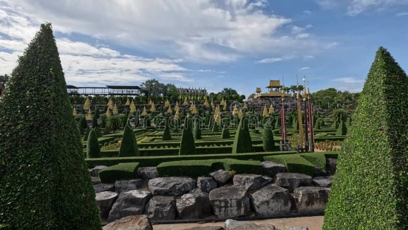 Jardin botanique de nong nooch juillet 2024 banque de vidéos