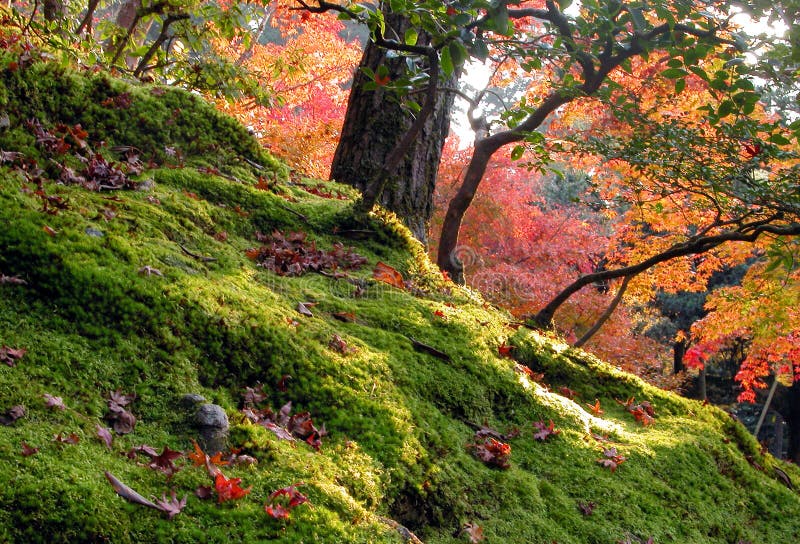 Jardin d'automne photos libres de droits Jardin d'automne photos libres de droits