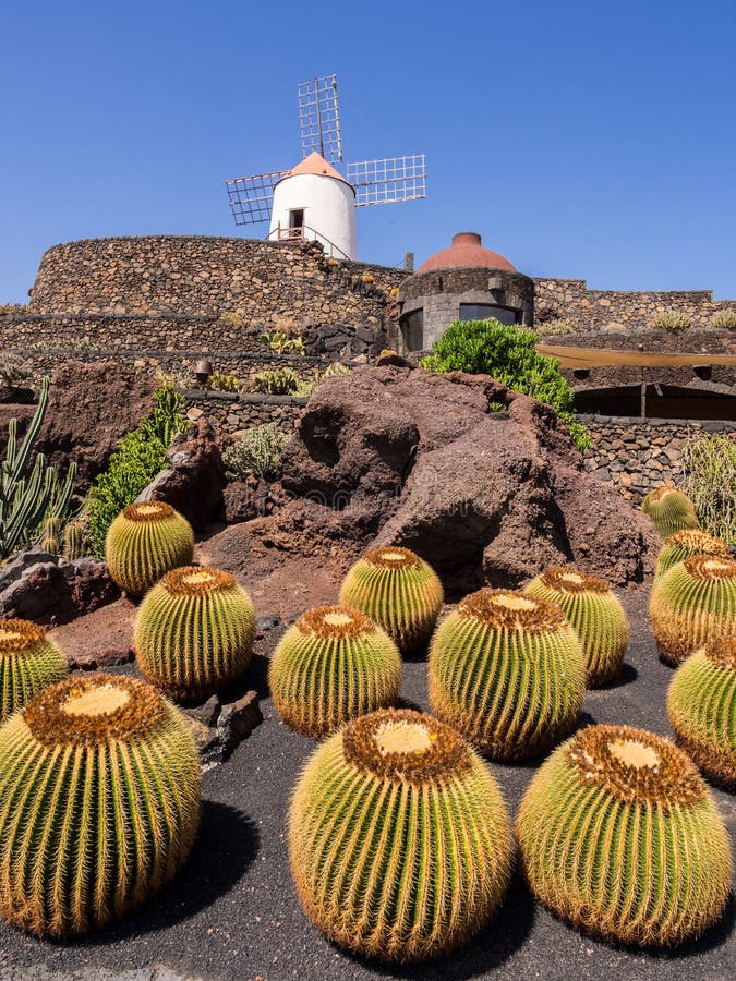 Jardin De Cactus à Lanzarote, Îles Canaries. Photo stock Image du