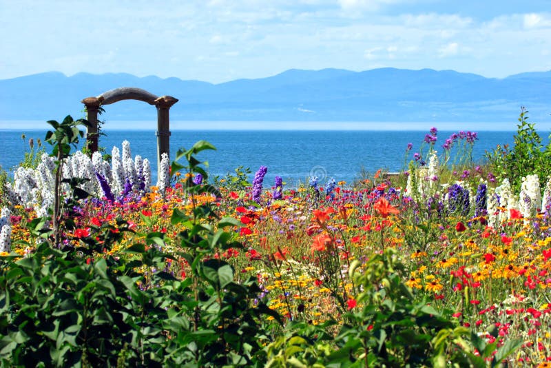 This is a colorful and amazingly beautiful wild garden photographed on the shore of the St-Lawrence river in the region of Kamouraka, Quebec, Canada. This is a colorful and amazingly beautiful wild garden photographed on the shore of the St-Lawrence river in the region of Kamouraka, Quebec, Canada