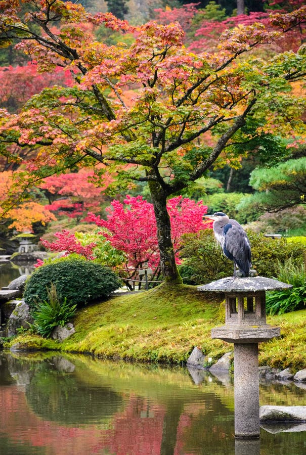 Jardin de Japonais de Seattle