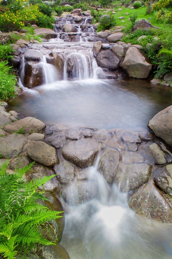 Jardin De Nature Avec La Petite Cascade De Cascade Image stock Image
