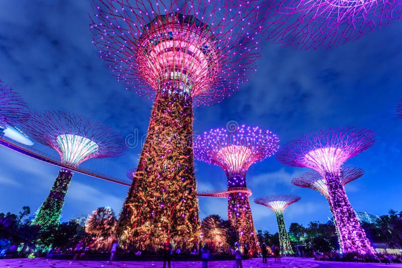 Jardin de Singapour photographie stock libre de droits Jardin de Singapour photographie stock libre de droits