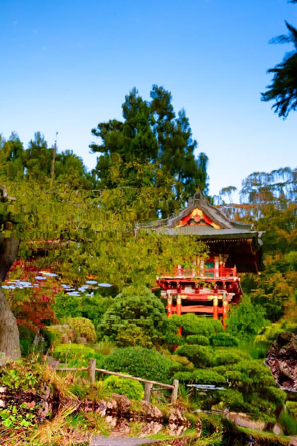 Jardin de thé japonais photographie stock Jardin de thé japonais photographie stock