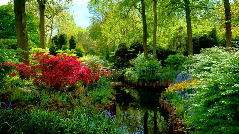 Jardin fleuri keukenhof. lisse aux pays-bas. clips vidéos