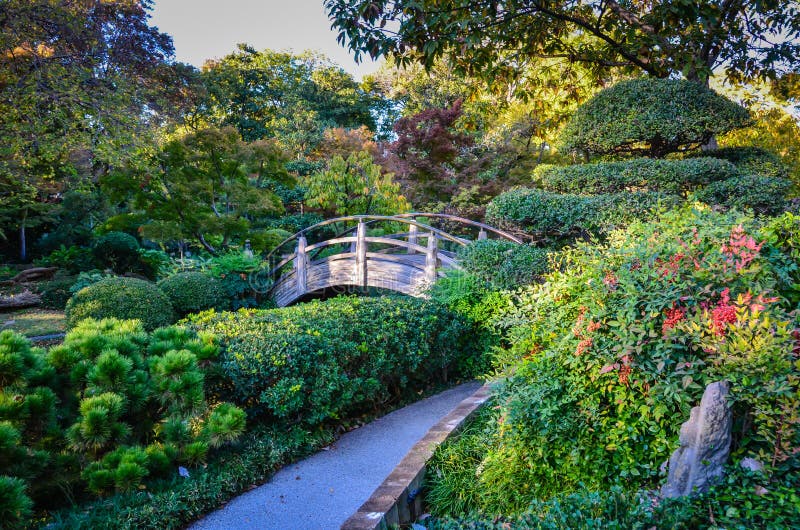 Jardin japonais en automne - jardin botanique de Fort Worth - fort Wor image stock Jardin japonais en automne - jardin botanique de Fort Worth - fort Wor image stock