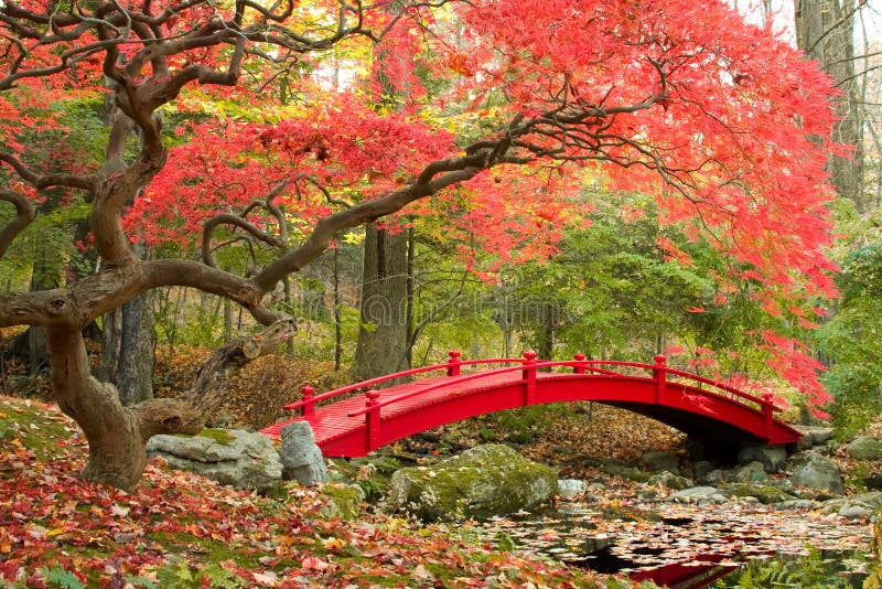 Jardin japonais et pont rouge image libre de droits Jardin japonais et pont rouge image libre de droits