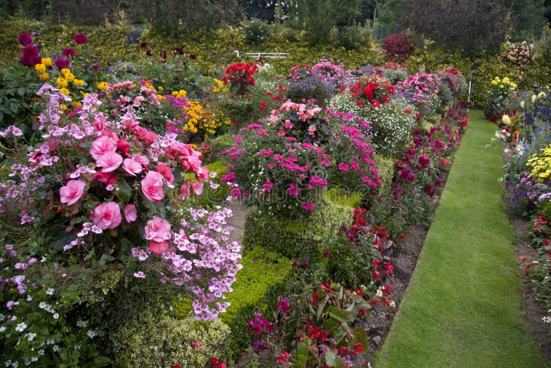 Jardin lumineux et coloré image libre de droits Jardin lumineux et coloré image libre de droits