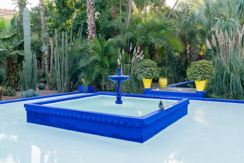 Jardin Majorelle De Yves Saint Laurent Foto de archivo - Imagen de azul ...