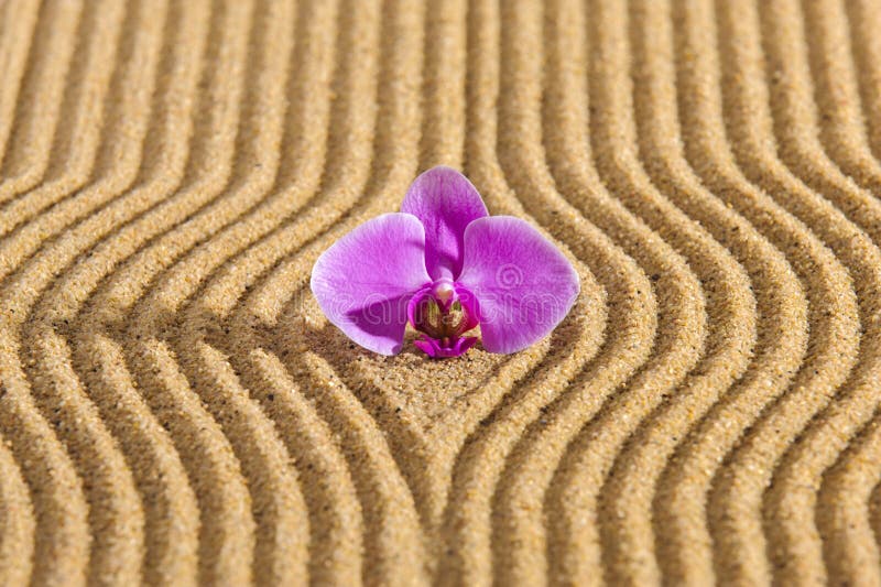 Jardin zen japonais avec pierre dans sable texturé photos stock