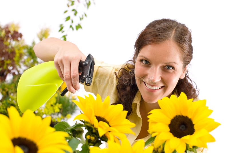 Jardinage - femme arrosant l'eau sur le tournesol images stock Jardinage - femme arrosant l'eau sur le tournesol images stock