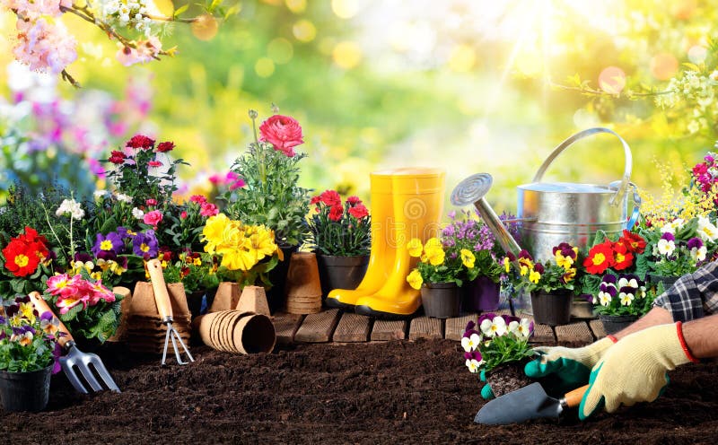 Jardinagem - equipamento para o jardineiro And Flower Pots