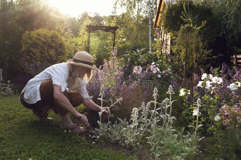 Jardineira a trabalhar num jardim de verão imagem de stock