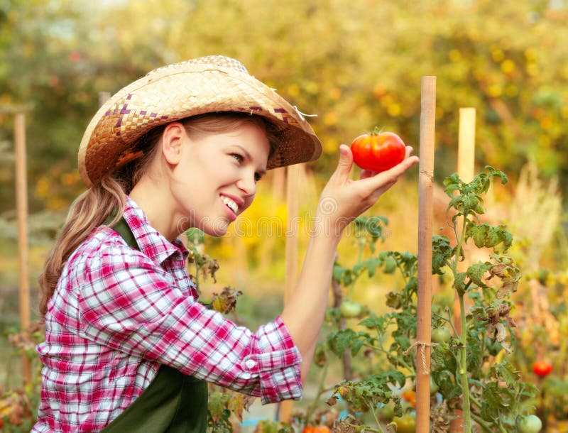 Jardineira fotos de stock royalty free