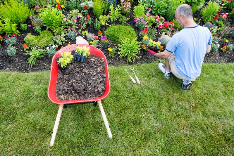 Jardineiro que ajardina um jardim