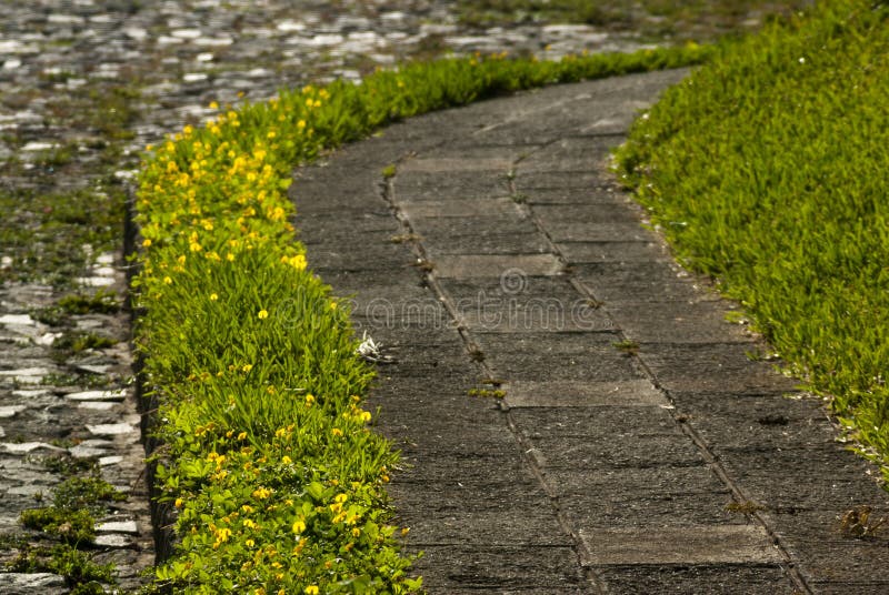 Jardinero de la calle de la acera en Guatemala, América cetral fotografía de archivo Jardinero de la calle de la acera en Guatemala, América cetral fotografía de archivo