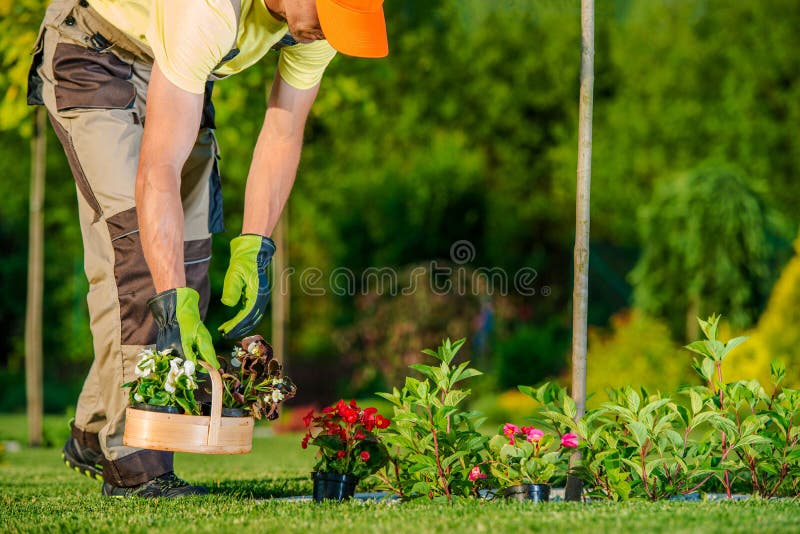 Jardinero que planta las flores