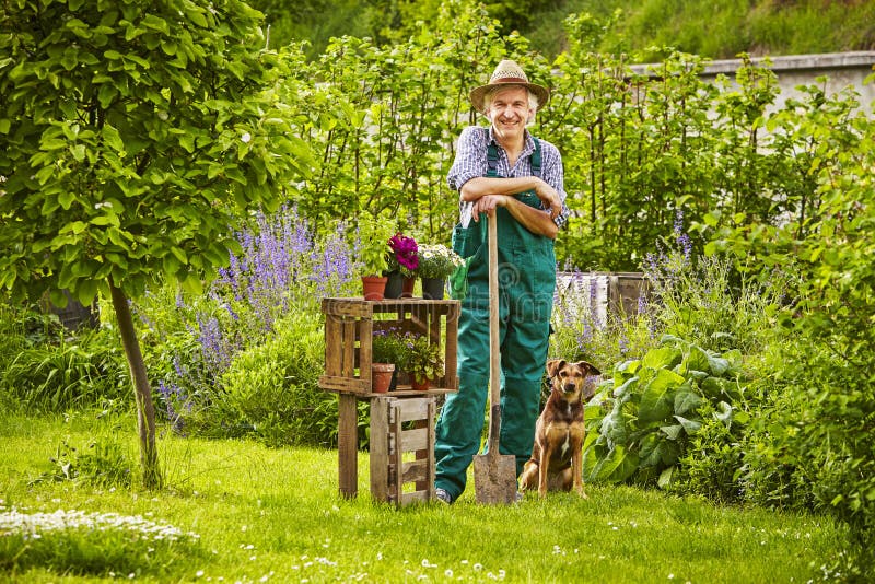 Jardinier debout de chapeau de chien de jardin images libres de droits Jardinier debout de chapeau de chien de jardin images libres de droits