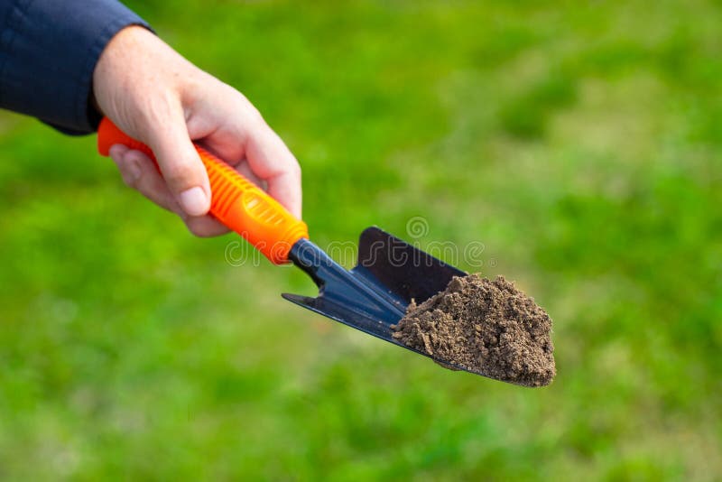 Jardinier féminin Hold Garden Trowel avec le sol dans le jardin photographie stock libre de droits Jardinier féminin Hold Garden Trowel avec le sol dans le jardin photographie stock libre de droits