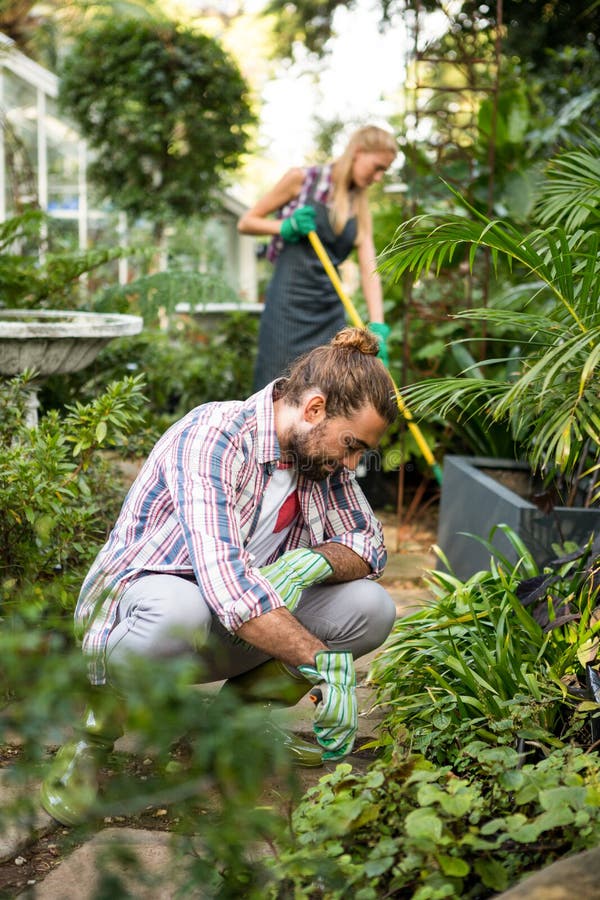 Jardinier masculin plantant au jardin de la communauté photos stock Jardinier masculin plantant au jardin de la communauté photos stock
