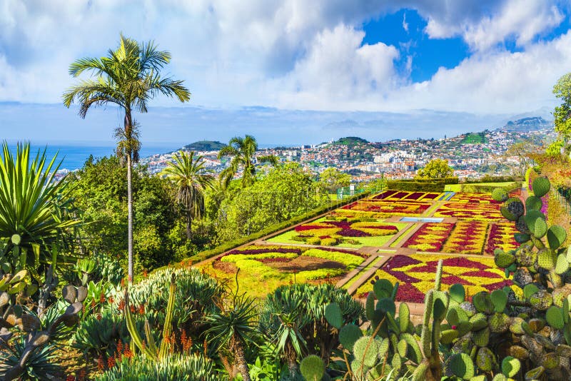 Jardins botaniques tropicaux à Funchal, île de la Madère, Portugal