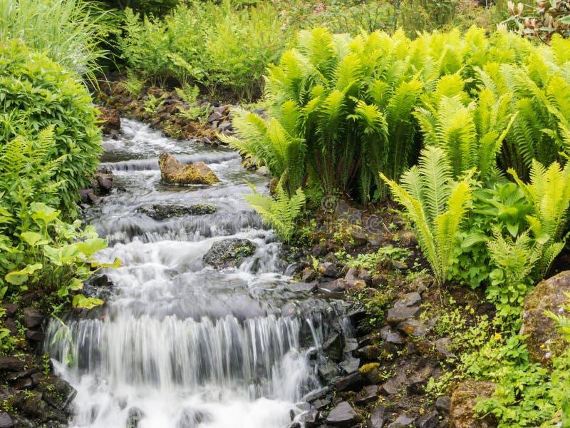 Jardins botânicos imagem de stock Jardins botânicos imagem de stock