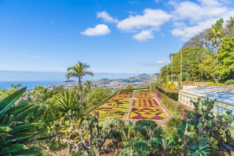 Jardins botânicos tropicais em Funchal, Madeira foto de stock royalty free Jardins botânicos tropicais em Funchal, Madeira foto de stock royalty free
