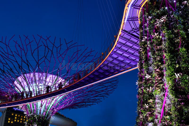 Jardins de Singapour par la baie image libre de droits Jardins de Singapour par la baie image libre de droits