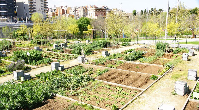 Huertos urbanos en barcelona