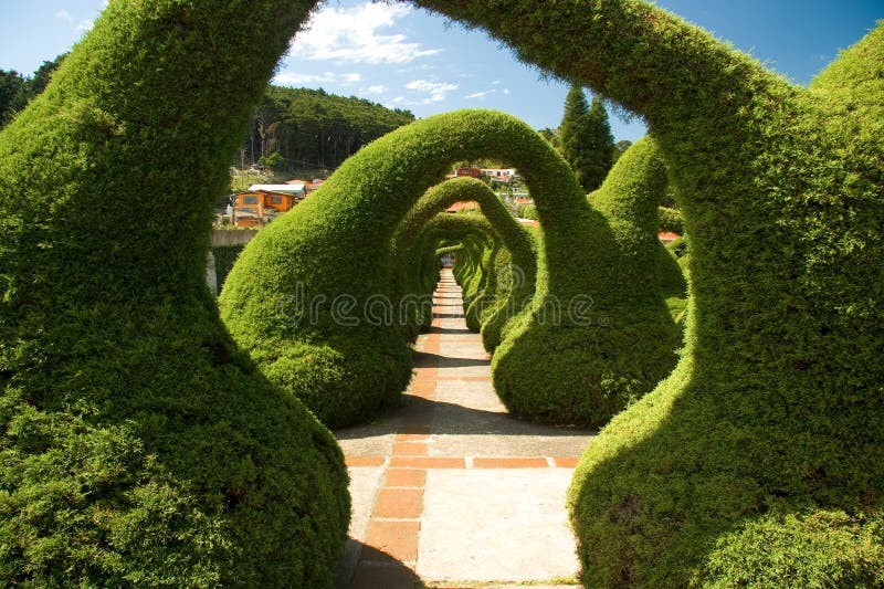 Jardin sculpté en le Costa Rica photos libres de droits Jardin sculpté en le Costa Rica photos libres de droits