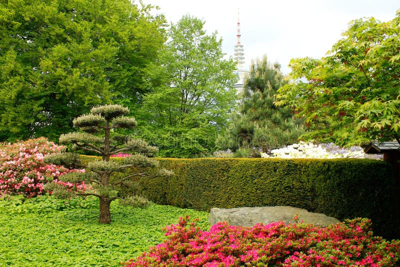 Jardín botánico floreciente. hamburguesa alemania.