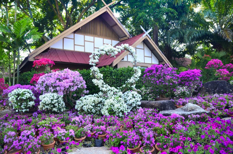 Jardín botánico tropical de Nong Nooch en Pattaya, Tailandia imagenes de archivo Jardín botánico tropical de Nong Nooch en Pattaya, Tailandia imagenes de archivo