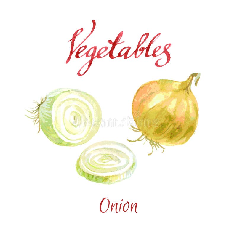 Huerto doméstico libre illustration