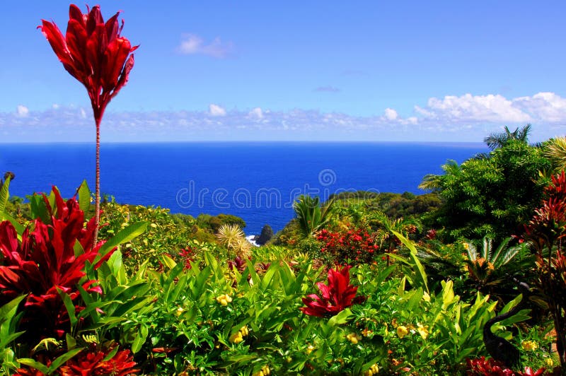 Jardín de Eden, Maui Hawaii fotos de archivo Jardín de Eden, Maui Hawaii fotos de archivo