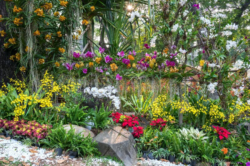 Jardín de flores del festival de primavera en año lunar fotografía de archivo libre de regalías